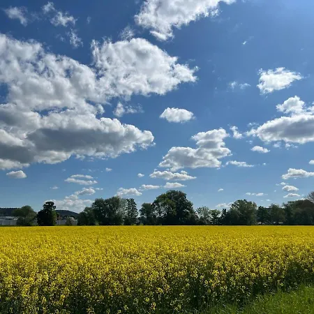 بيت للعطل Jagdhuette