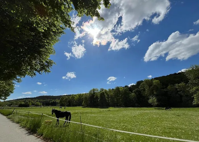 بيت للعطل Jagdhuette